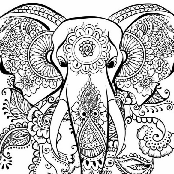 Meet your Posher, Rikkilynn - Picture 1 of 1